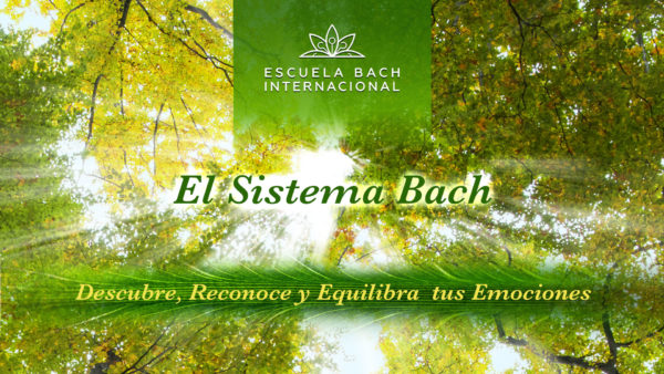 El sistema Bach